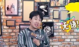 娱乐圈明星塌房爆料事件,揭秘明星背后的真相与代价